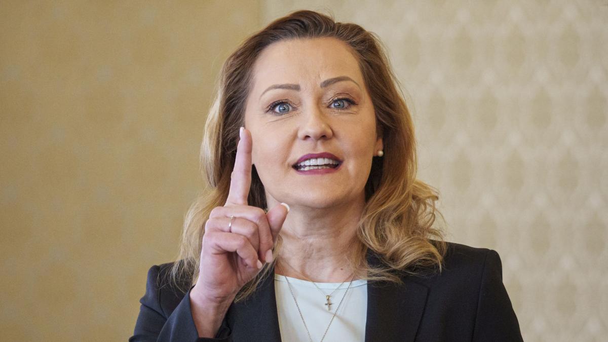 ICCJ USR nu poate face campanie pentru Nicusor Dan