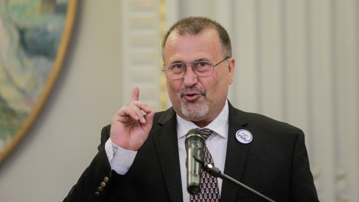 John Ion Banu Muscel candidat prezidential independent 2025 functii avere CV familie