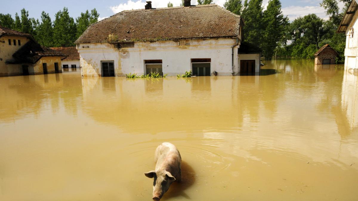 Mircea Dinescu afla de la Victor Ponta despre inundatia din 2014