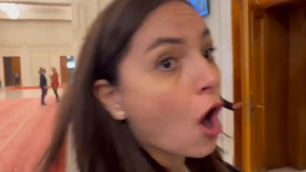 Anamaria Gavrila tipa si ameninta jurnalistii la Parlament Sunteti o specie pe cale de disparitie Abia astept sa va vad disparuti