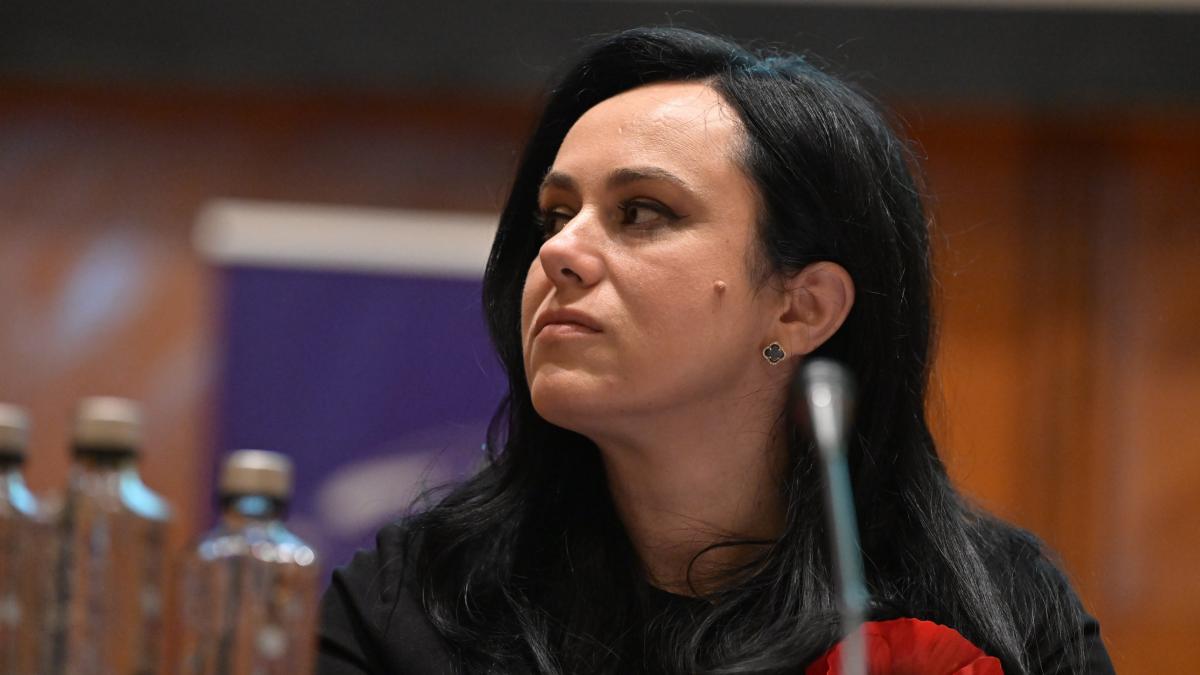 Ministrul Muncii Nivelul de trai al romanilor a crescut