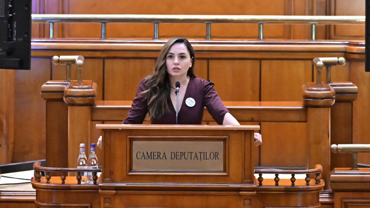Anamaria Gavrila a provocat scandal in Parlament din nou
