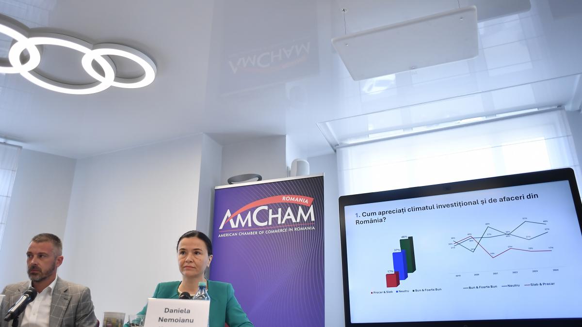 Camera de Comert Romano American Romania nu mai poate amana deciziile greu de luat