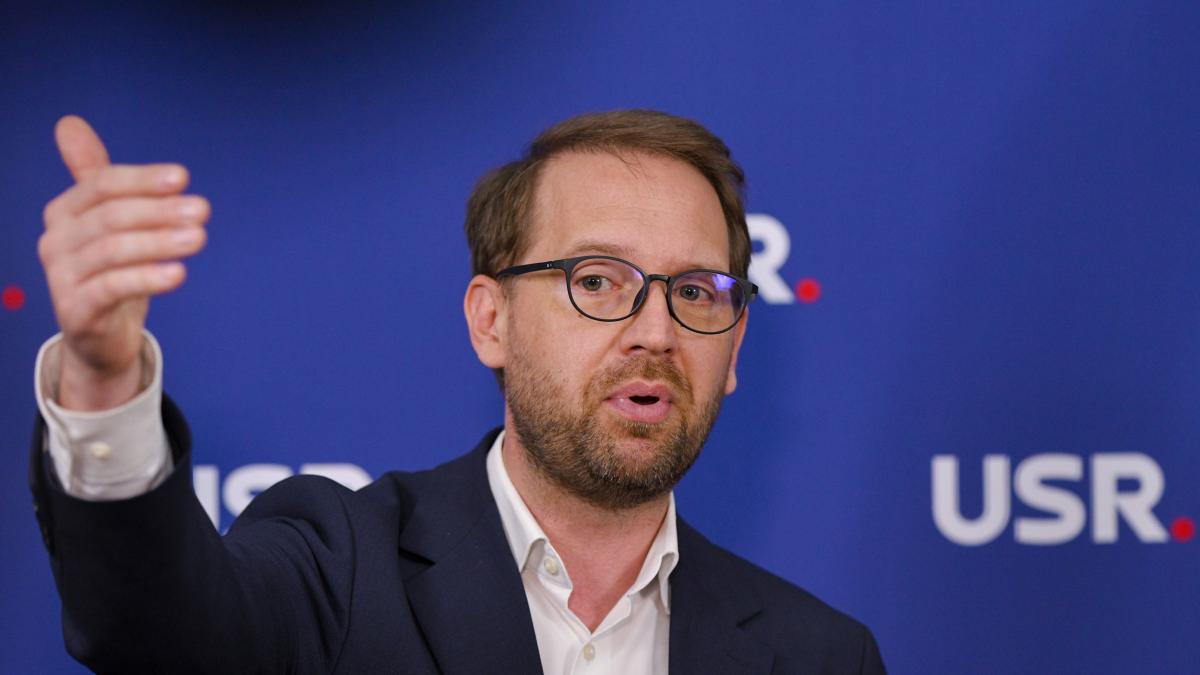 Dominic Fritz admite ca l a criticat pe Sorin Grindeanu