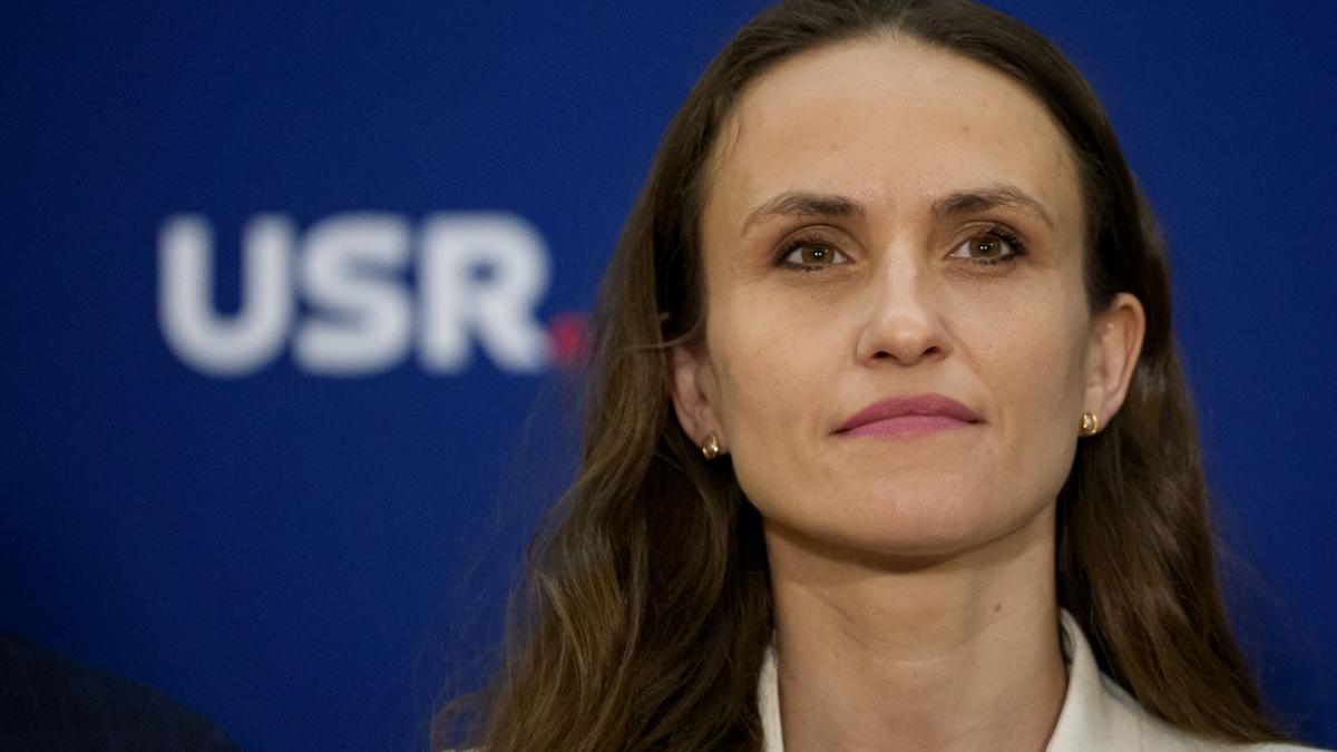 Oana Toiu a discutat cu omologul francez despre parteneriatul Romania Franta