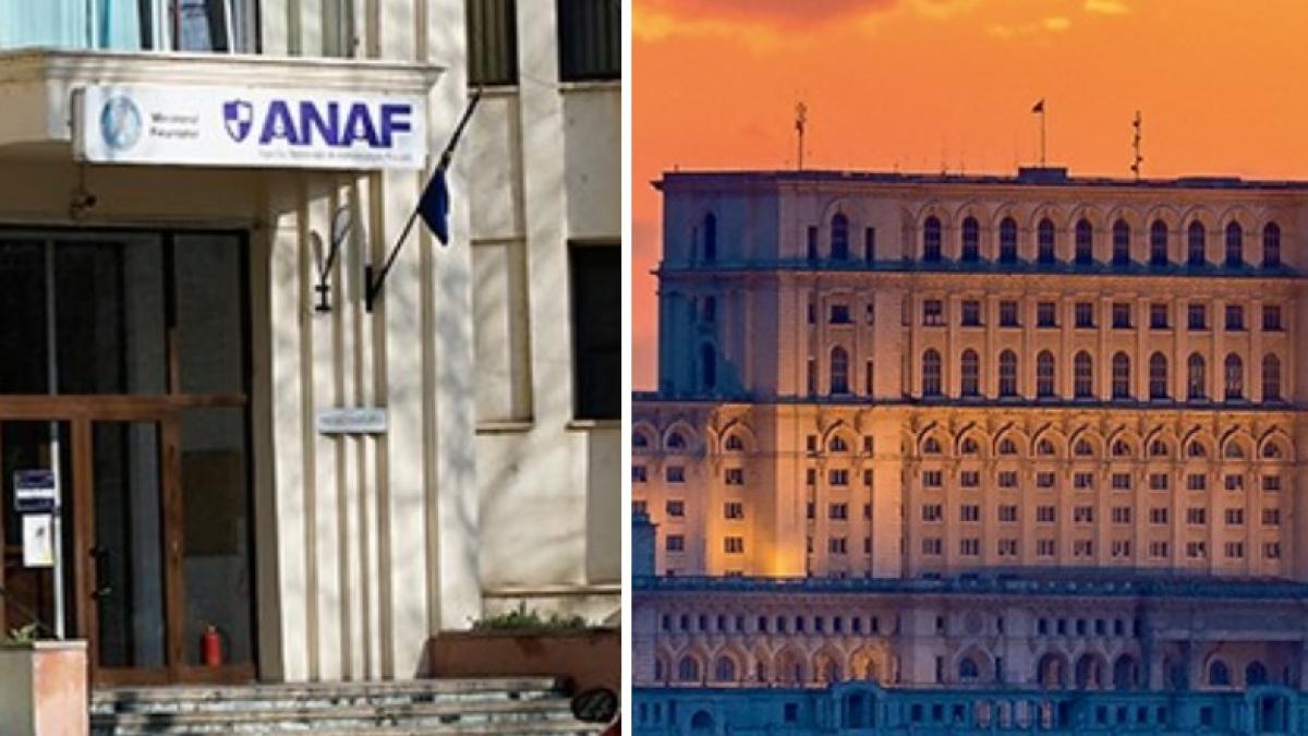 Sefa ANAF audiata in Parlament despre evaziunea fiscala