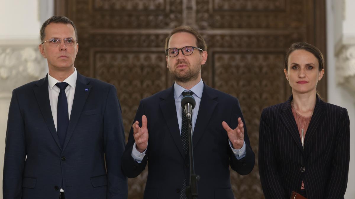 Surse Surpriza din guvernul Bolojan Oana Toiu la Externe Cine va fi ministrul Apararii