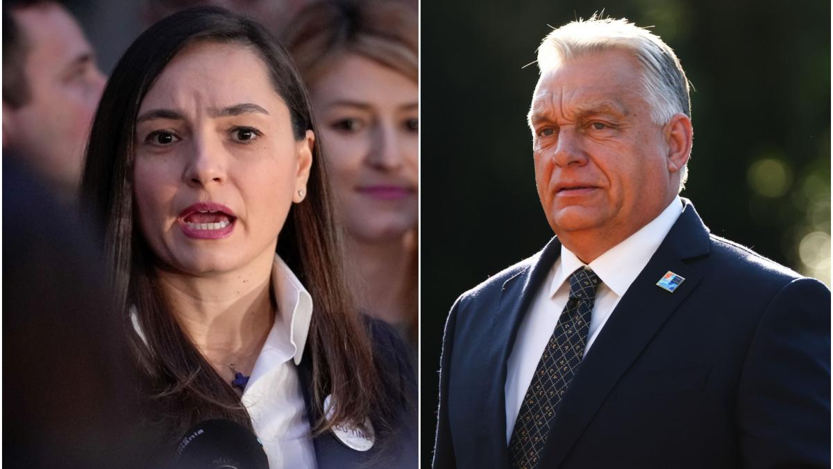 Anamaria Gavrila mesaj catrei Viktor Orban pe Facebook