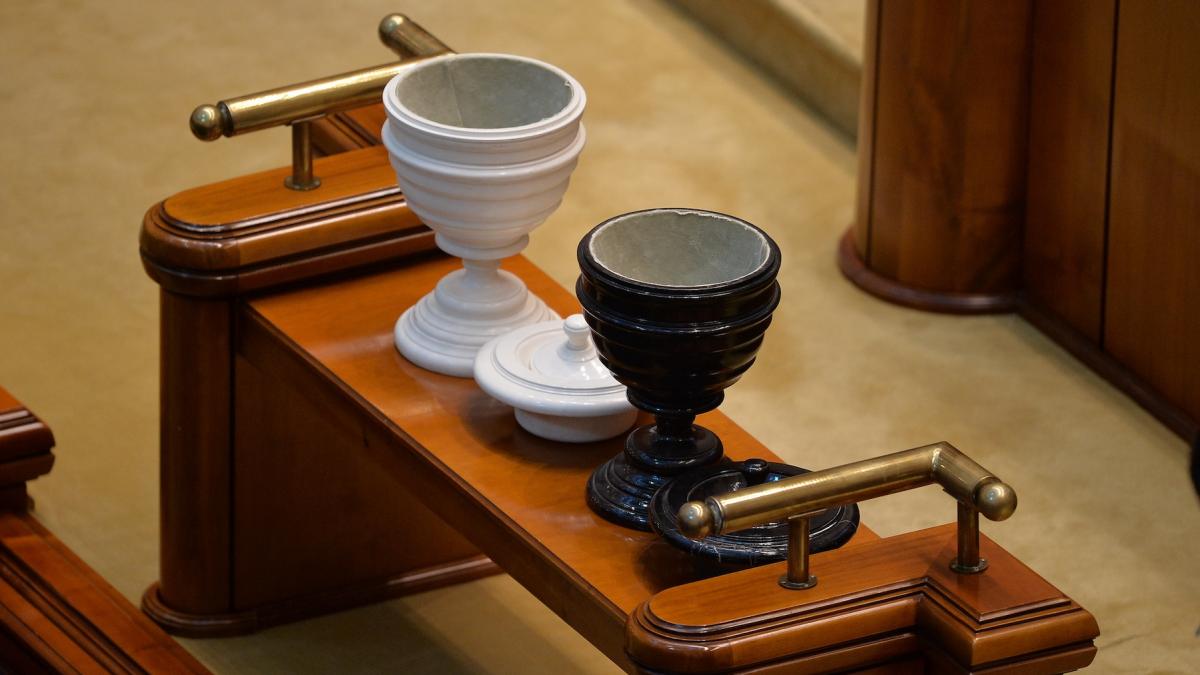 Ce este motiunea de cenzura si cum functioneaza