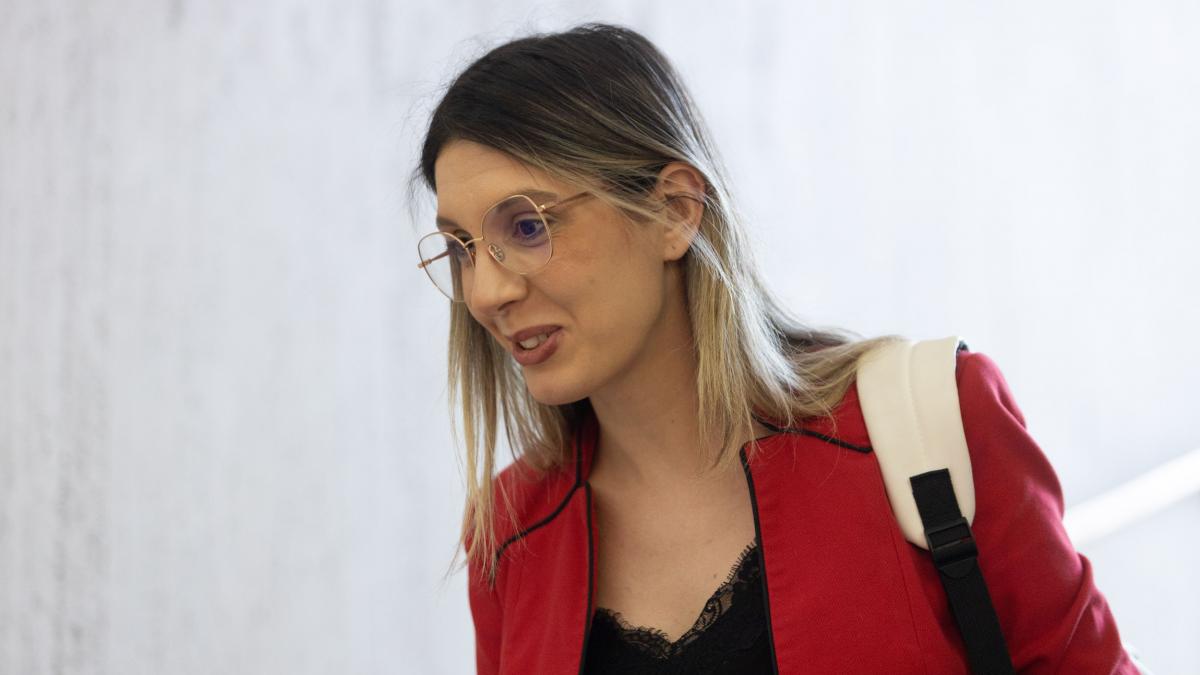 Diana Buzoianu despre frontierele intre ministere in aceeasi cladire