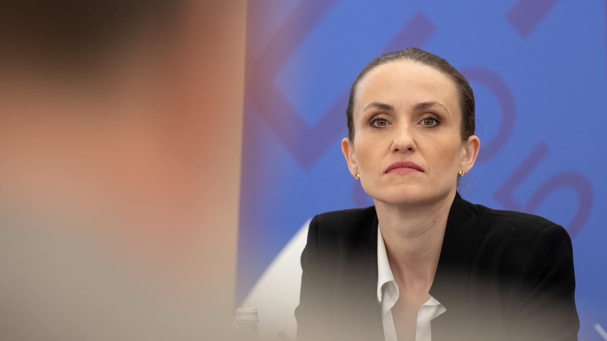 Ministra Oana Toiu avertizeaza despre riscurile demisiei lui Anastasiu