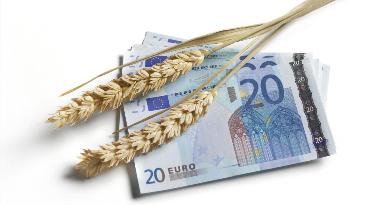 Ministrul Florin Barbu vrea exceptarea sporurilor din austeritate