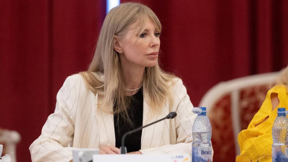 Nicisor Dan somat de vicepresedinta PSD sa clarifice pozitia privind legea Vexler Riscam sa credem ca va jucati cu focul