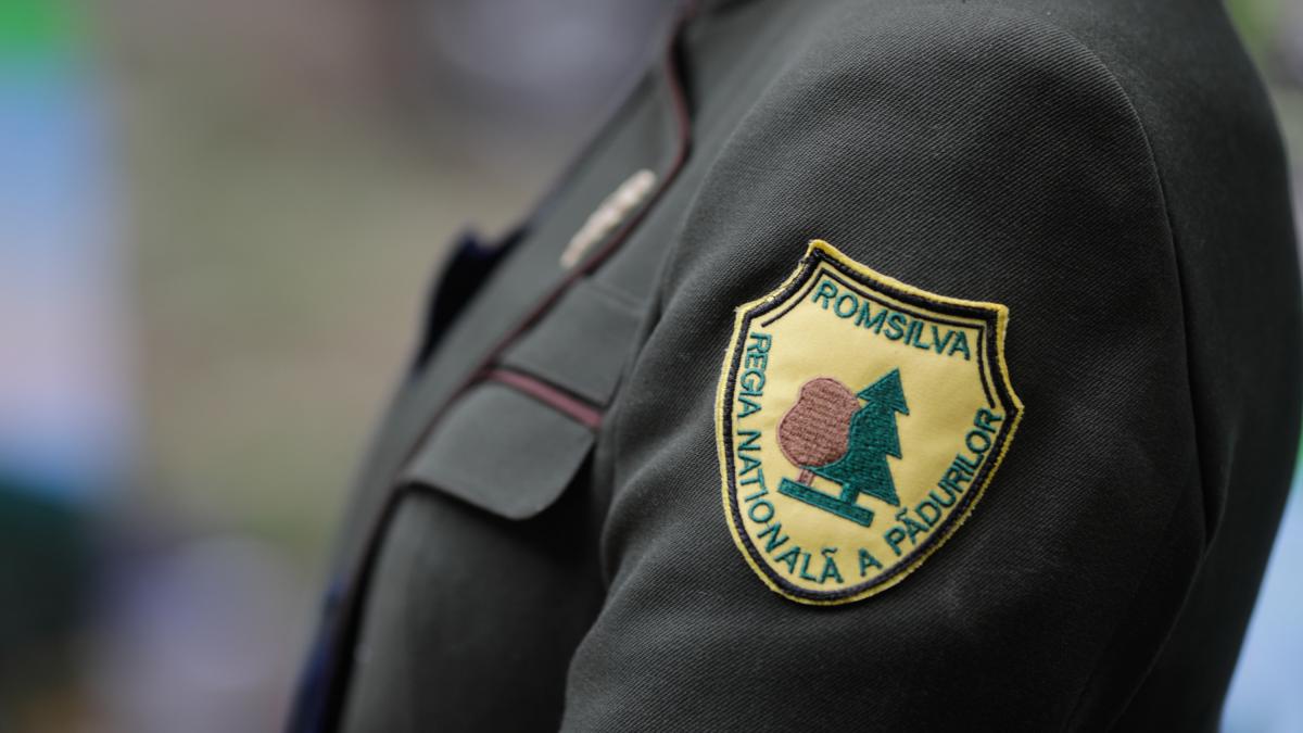 Romsilva ramane fara conducere de maine