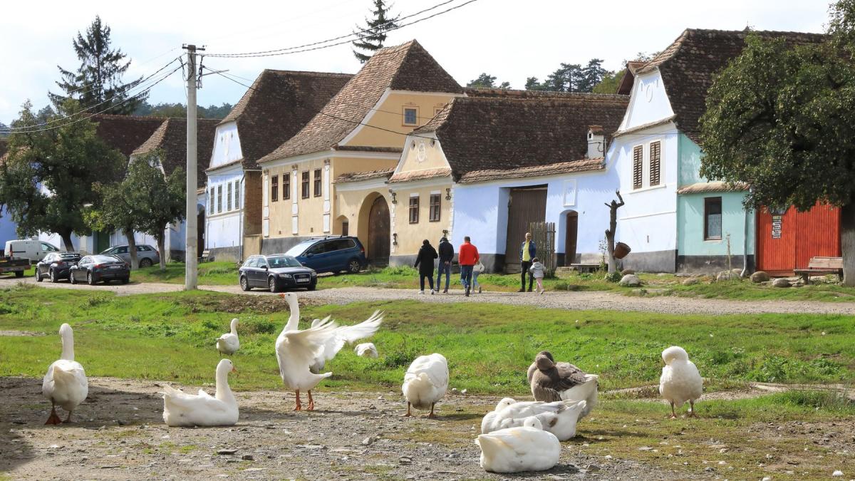 Satul cu zeci de oameni imbolnaviti brusc