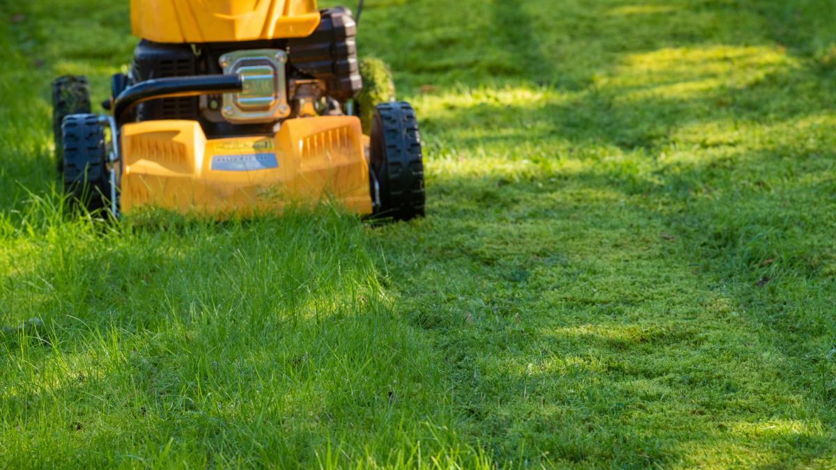 Tanczos Barna despre risipa banului public la Targu Mures