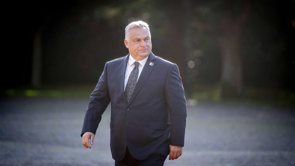 Viktor Orban vrea discutii cu Nicusor Dan despre economie