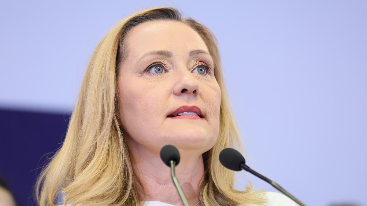 Elena Lasconi avertizeaza Cea mai mare greseala e sa tai investitiile