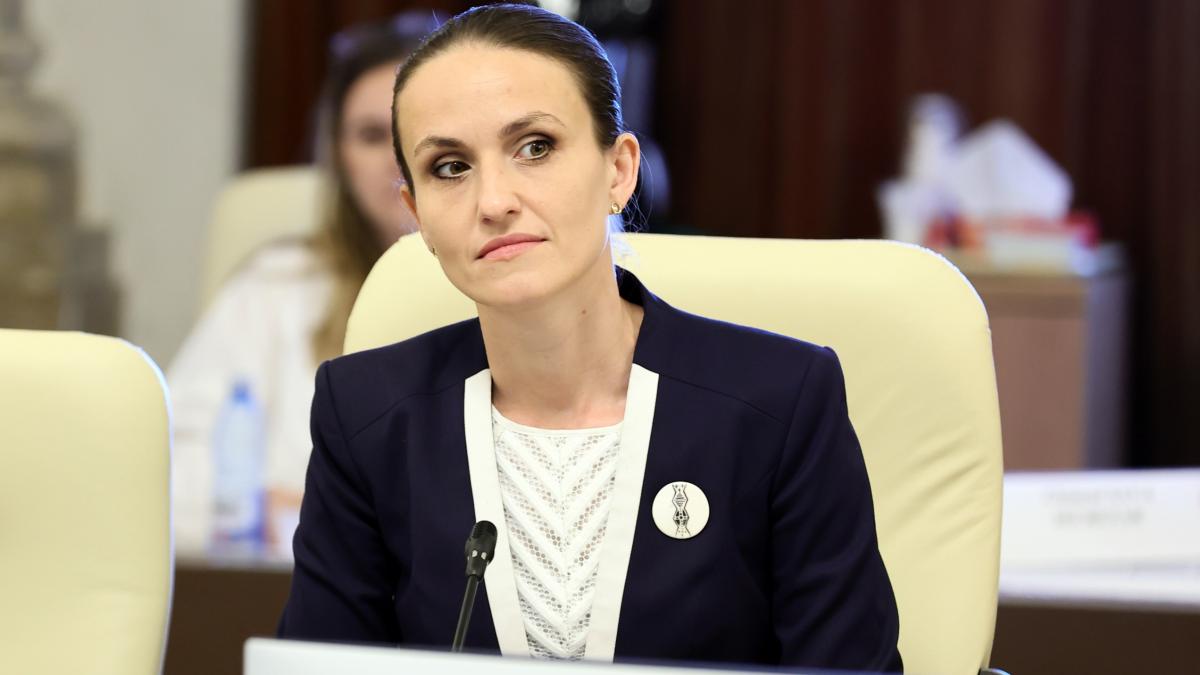 Nicusor Dan nu participa la Adunarea ONU Oana Toiu va reprezenta Romania