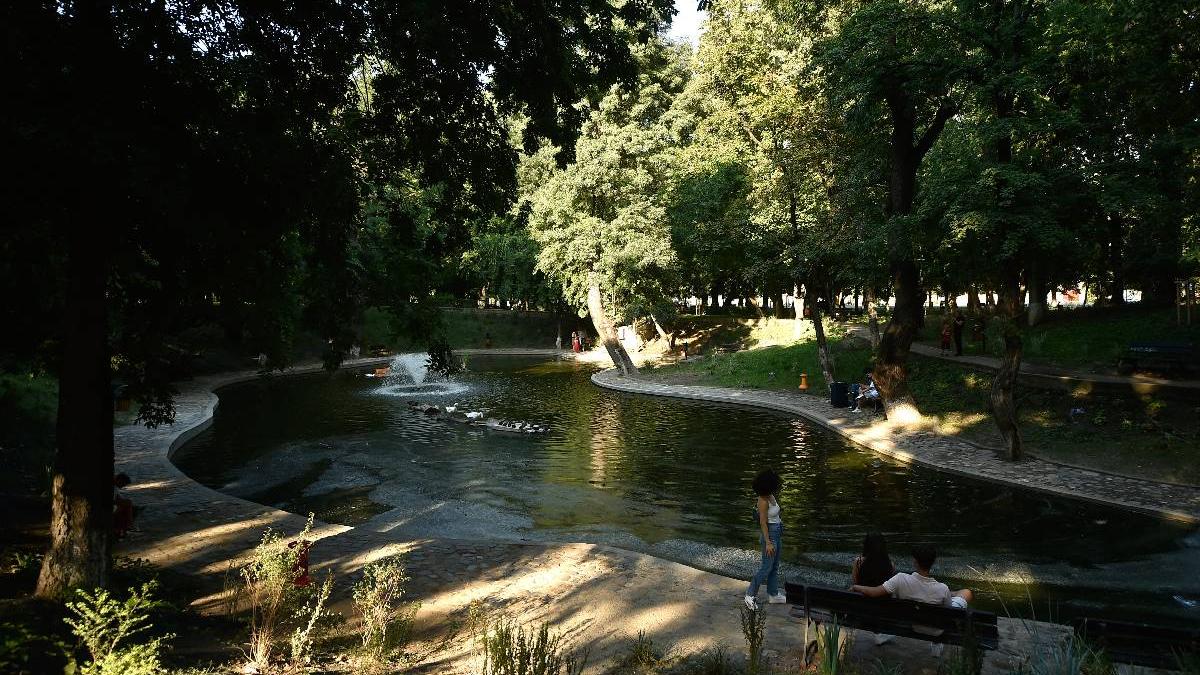 Primaria Sectorului 1 anuleaza Lumina Park in Kiseleff