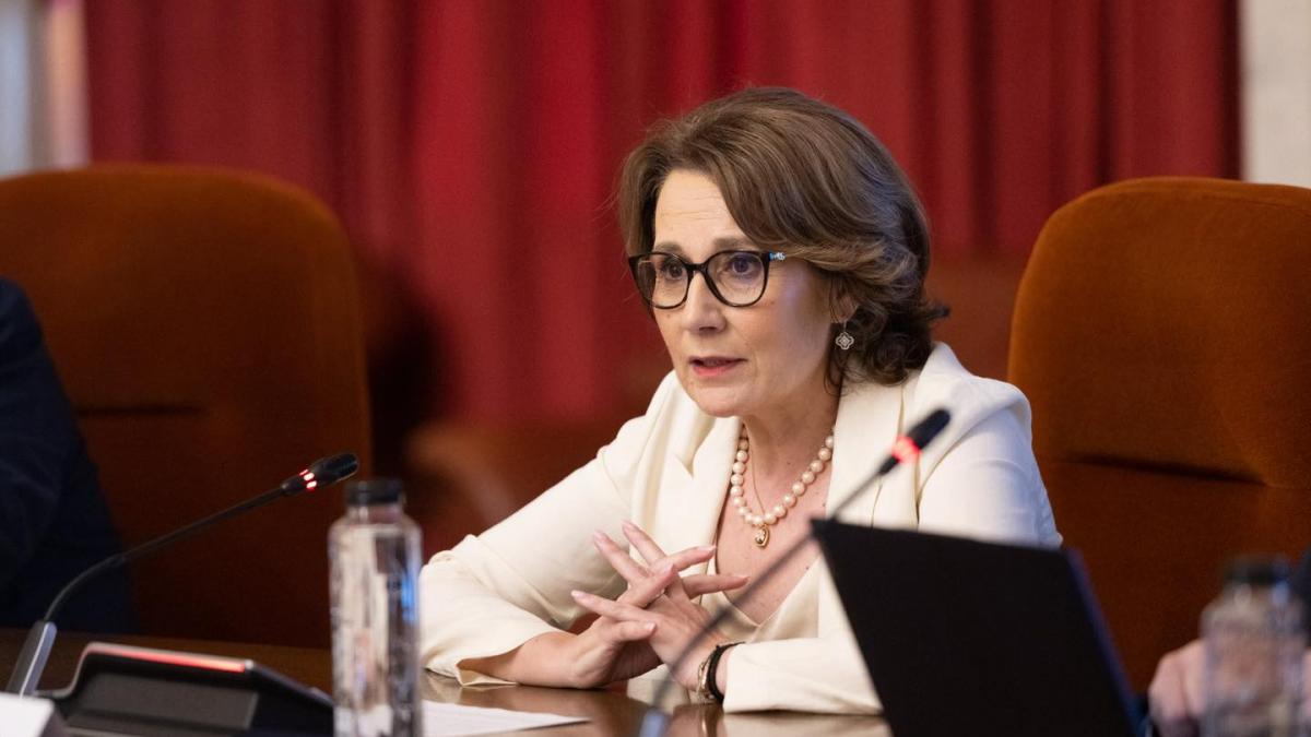 Senatoarea Nicoleta Pauliuc atac la opozitie AUR SOS POT apara privilegii