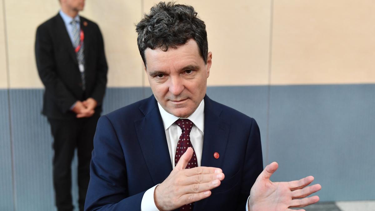Nicusr Dan despre referendumul pensiilor magistratilor Trebuie facut in urma dezbaterii