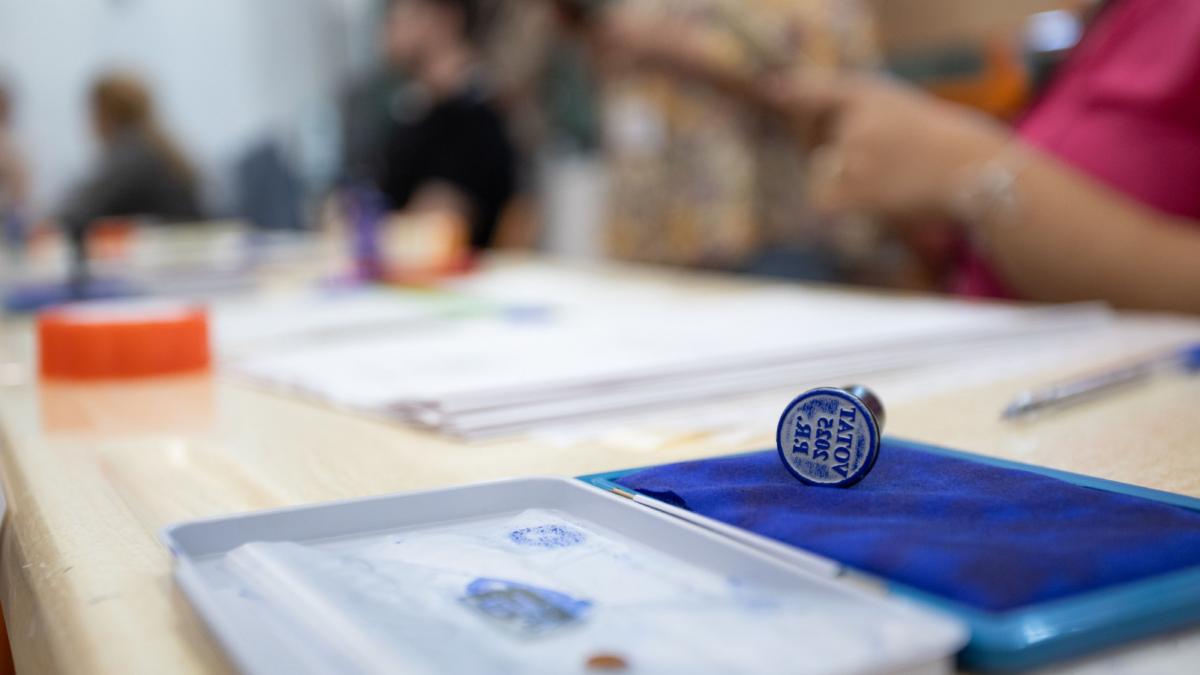 Cum va arata buletinul de vot la alegeri
