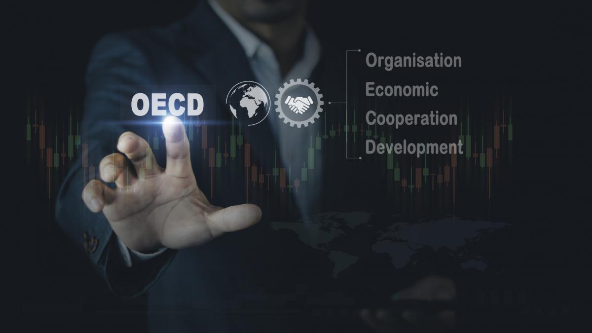 Decizie Importanta Pentru Intrarea Romaniei In OCDE