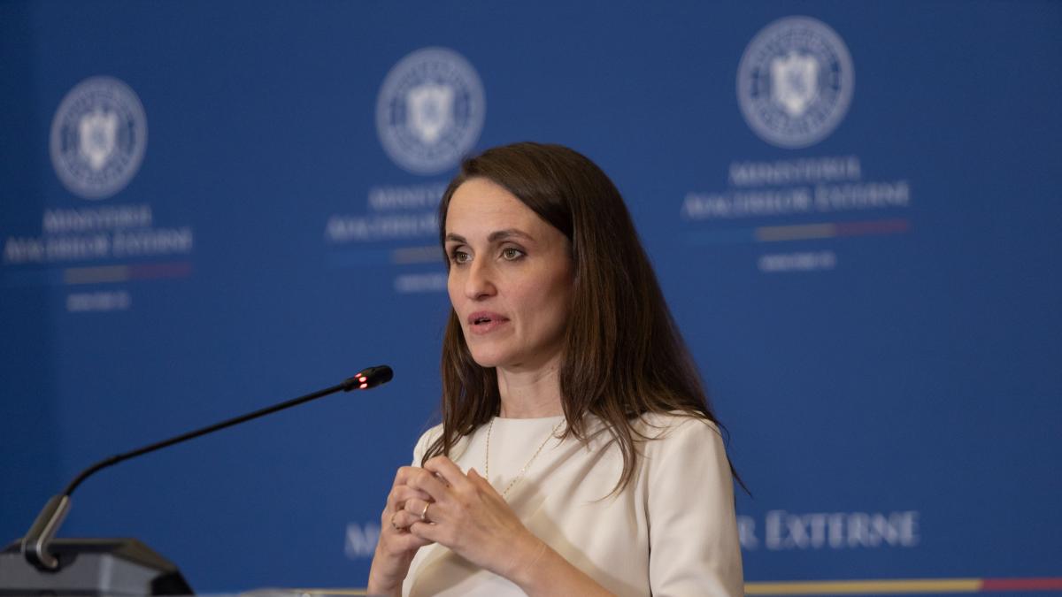 Oana Toiu Reducerea salariilor in MAE nu este realist
