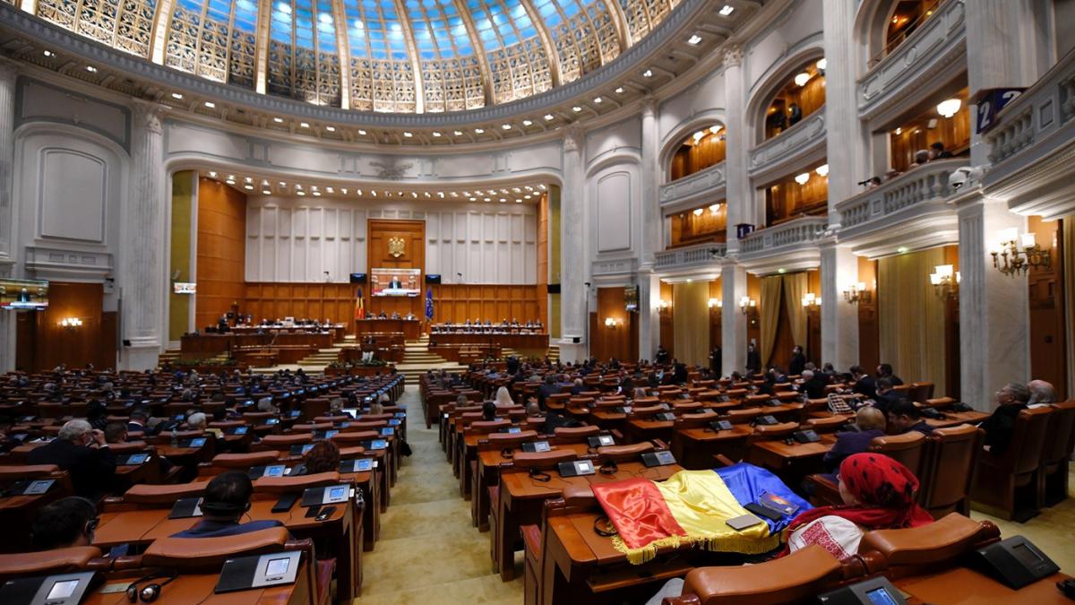 Surse Senatorul chiulangiu anchetat pentru furt de rucsac