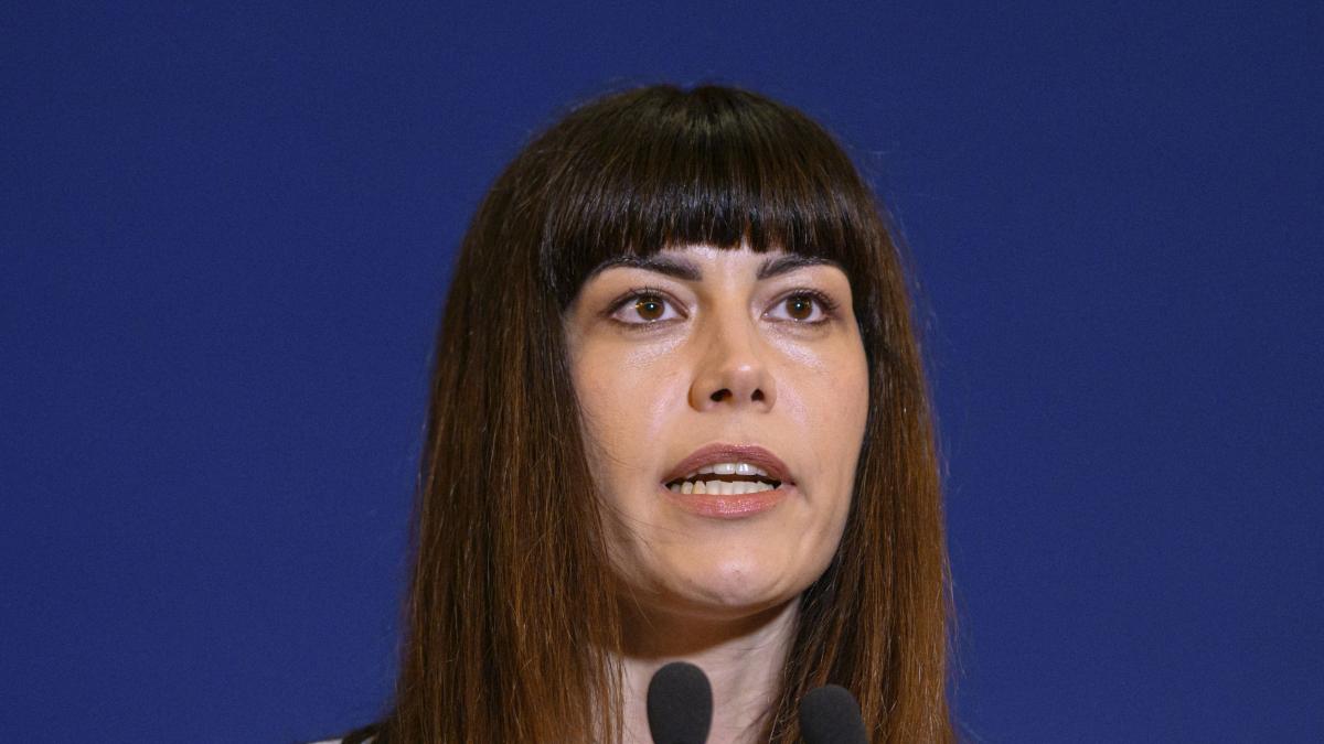 Cristina Pruna atac la conducerea USR Axa Fritz Mosteanu a gresit
