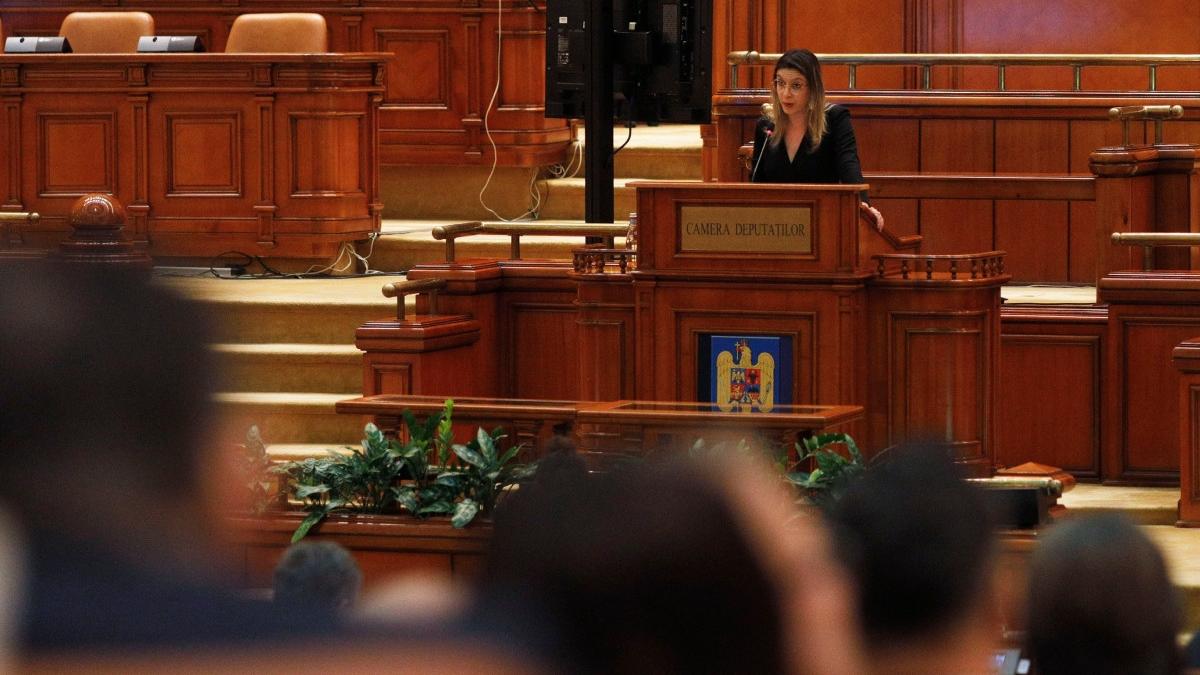 Scandal la audierea ministrului Mediului pe criza Paltinu