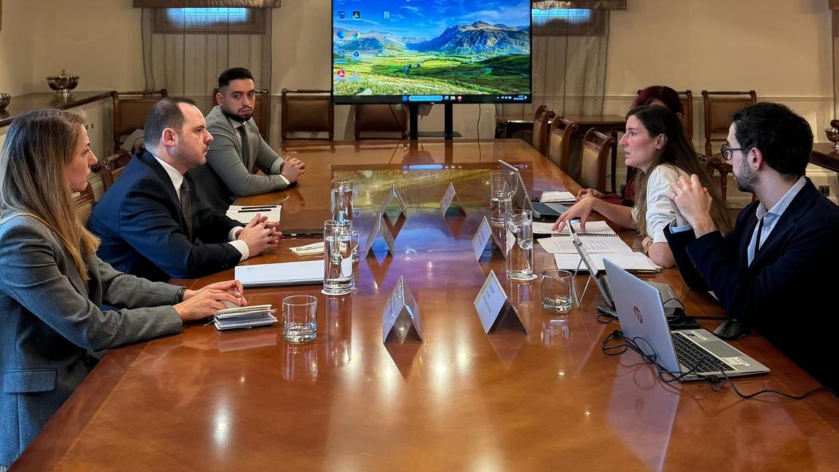 Rogobete discutii la Madrid despre reforma sanatatii mintale