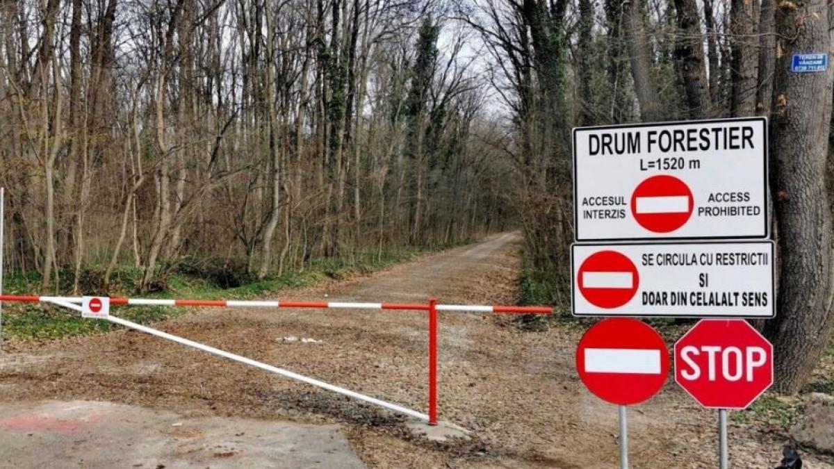 Corpul de Control al Ministerului Mediului a finalizat verificarile referitoare la drumul forestier din