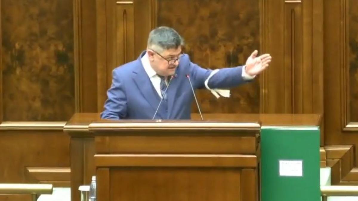 Daca nu il dati afara din sala o voi face eu Scandal in plenul Senatului Ninel Peia a dorit sa