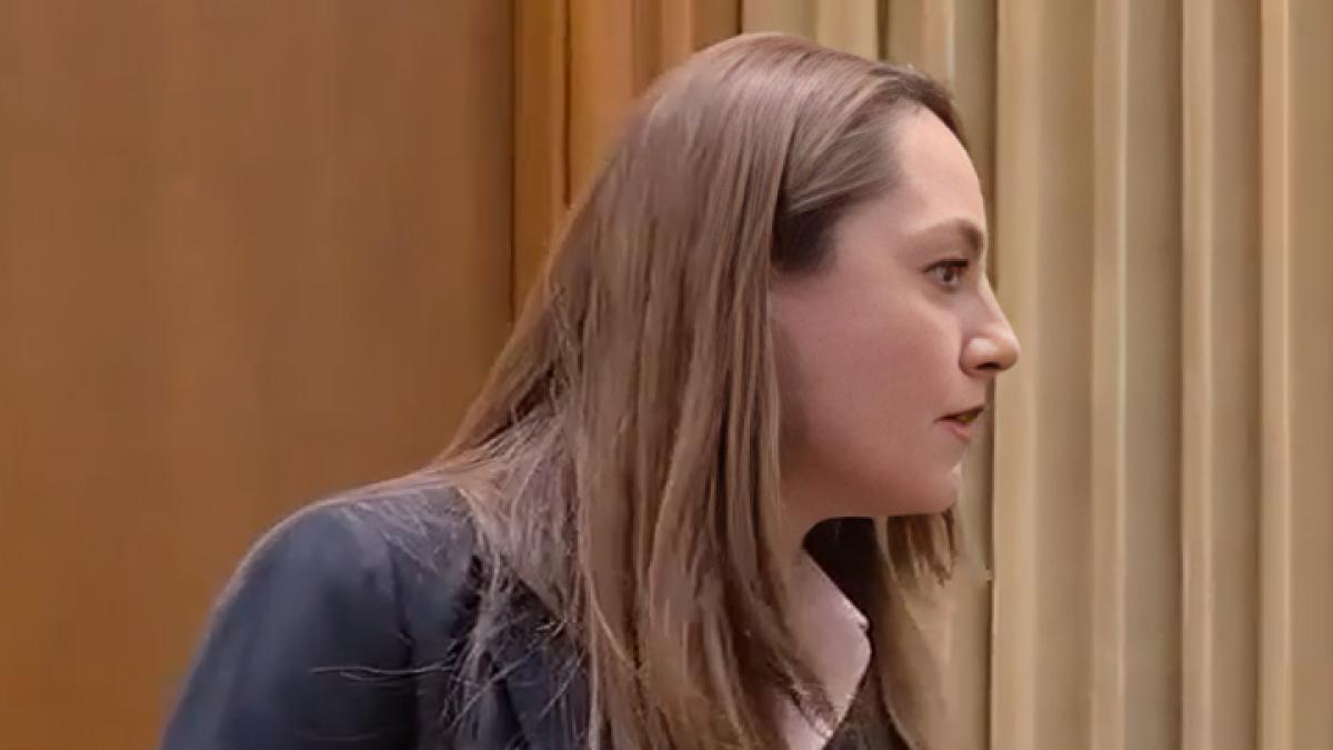 Anamaria Gavrila a avut o criza de nervi in plen A stricat la o colega deputat Ramai in banca