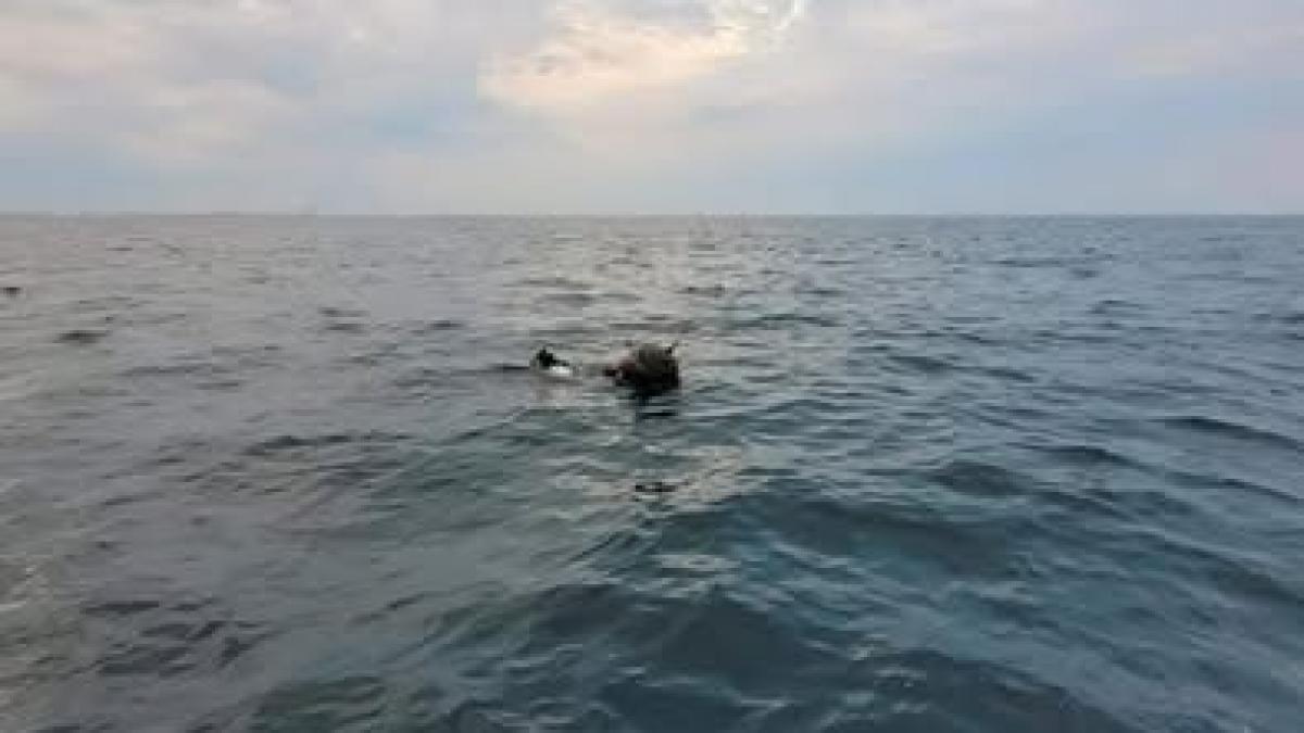 Disputa Romania Rusia privind originea minelor marine adrift in Marea Neagra Raspunsul MApN pentru