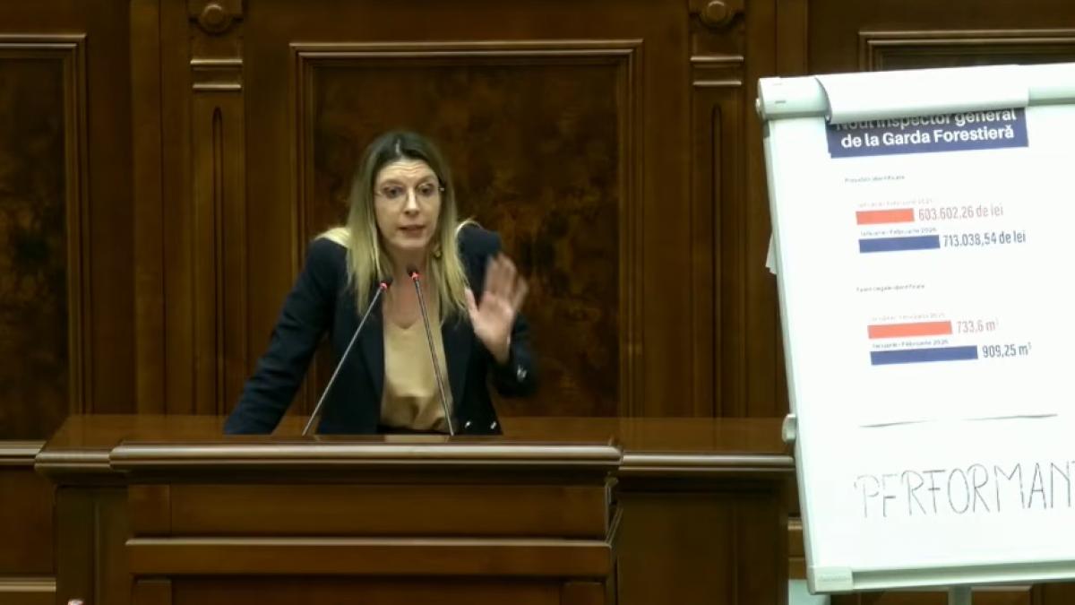 MotIunea simpla impotriva Dianei Buzoianu a fost respinsa PSD nu a votat Bolojan a fost absent Schimb drastic de