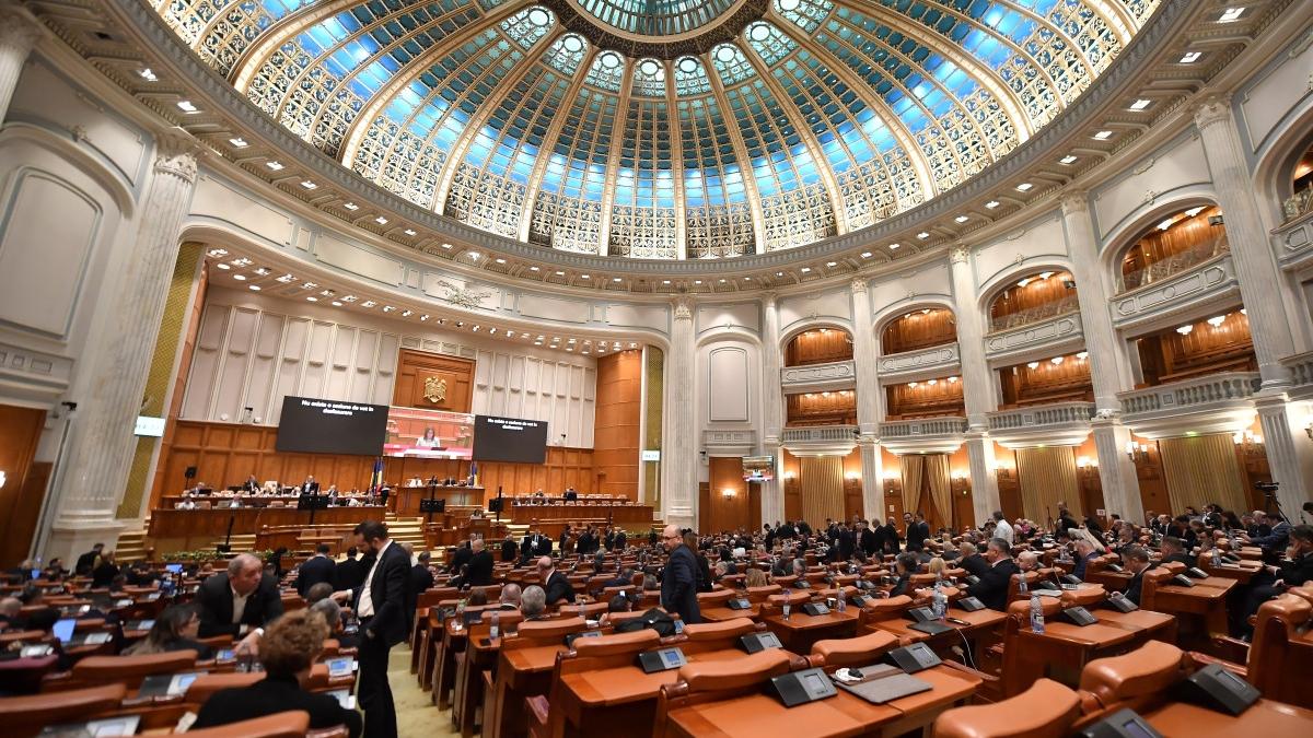 Senat copiii cu nevoi speciale vor beneficia de masa calda sau pachet alimentar in loc de alocatie de
