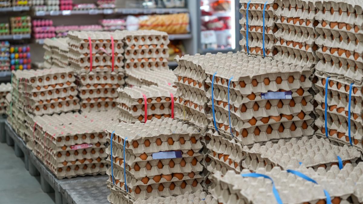 Alerte sanitara inainte de Paste 1 5 milioane de oua contaminate cu Salmonella in Vaslui