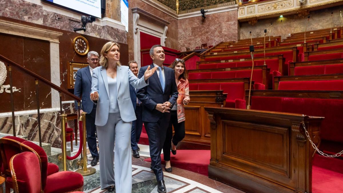 Anuntul lui Grindeanu dupa intalnirea cu presedinta Adunarii Nationale a Frantei Imi doresc