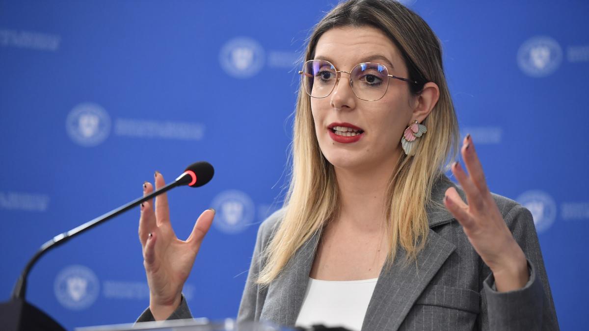 Diana Buzoianu anunta ca instanta a respins suspendarea reorganizarii Romsilva Continuam reforma