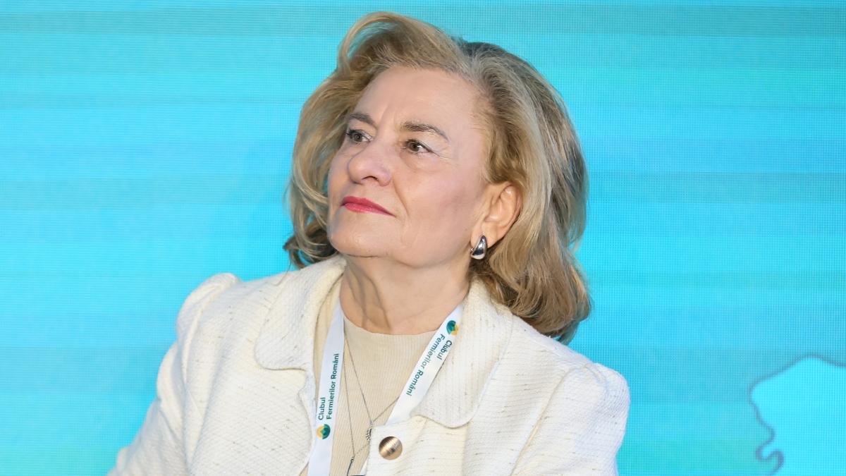 Maria Grapini avertizeaza Europa risca sa creeze cetateni de rang secund daca bugetul UE nu