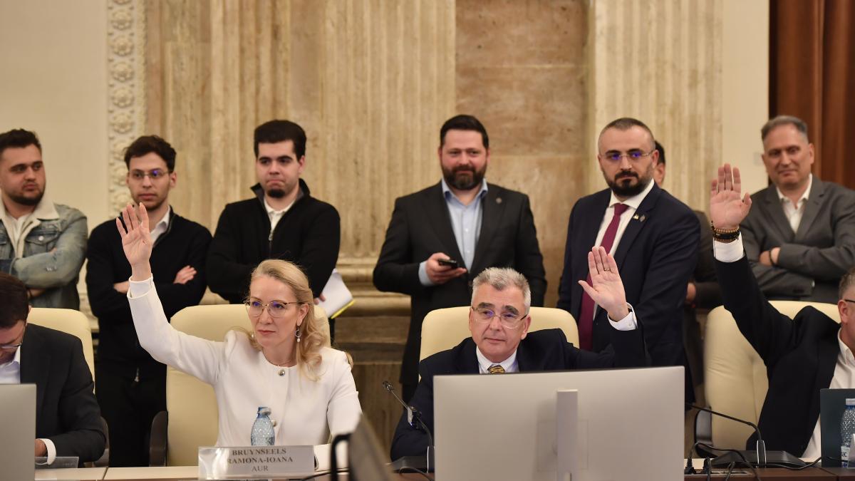 PSD si AUR au sustinut amendamentul lui Peiu pentru vanzarea actiunilor companiilor de stat doar