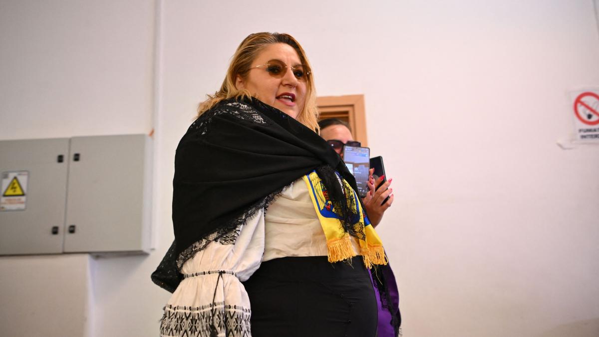 Parlamentul European a votat pentru ridicarea imunitatii Dianei Sosoaca care este acuzata de 11 infractiuni