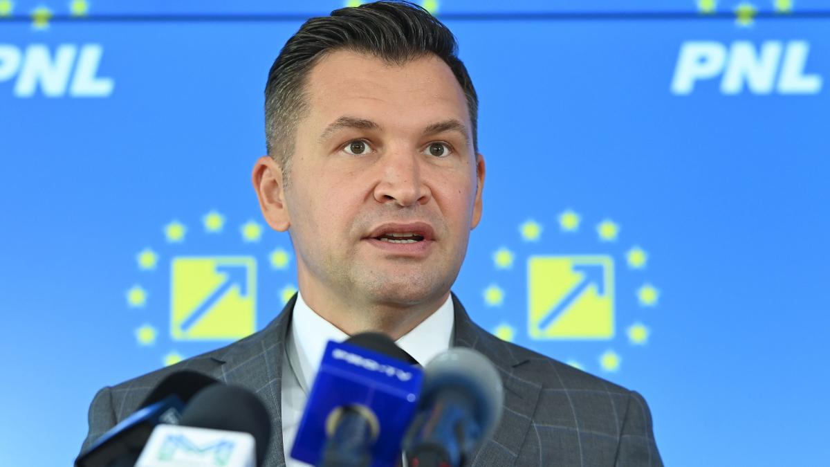 un deputat pnl sol solicita partidului sa se impace cu psd nu ne putem permite un guvern in care