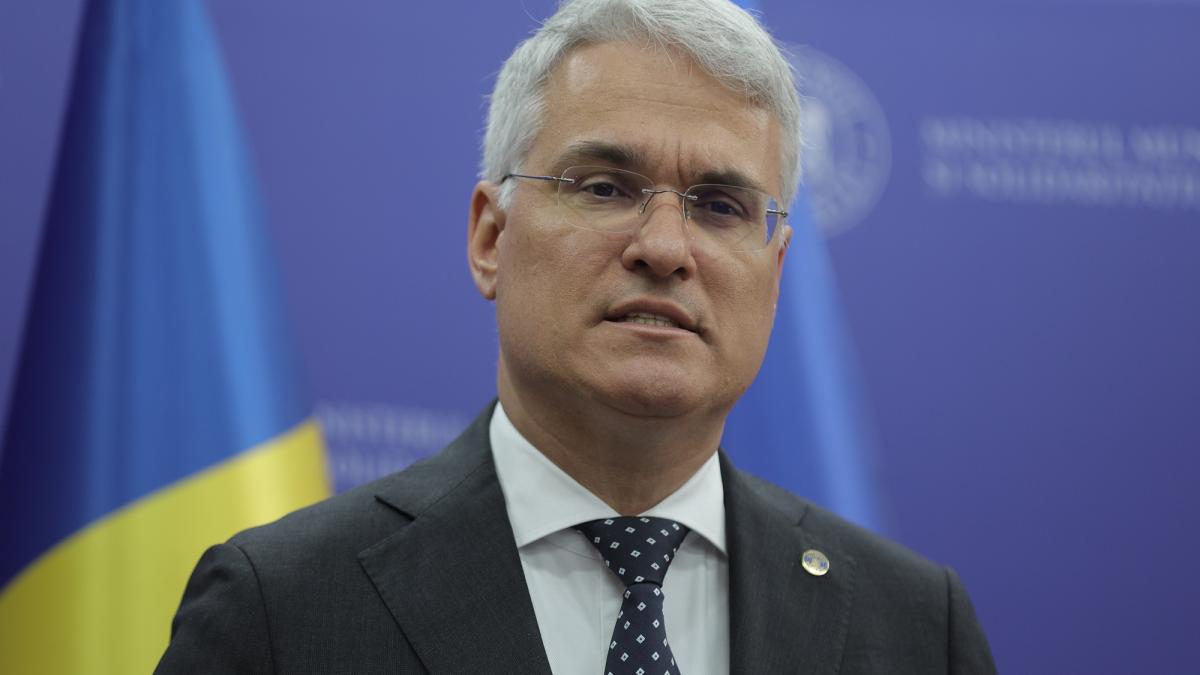Dragos Pislaru Analizele referitoare la atingerea jaloanelor si obiectivelor in legatura cu cererea de plata nr