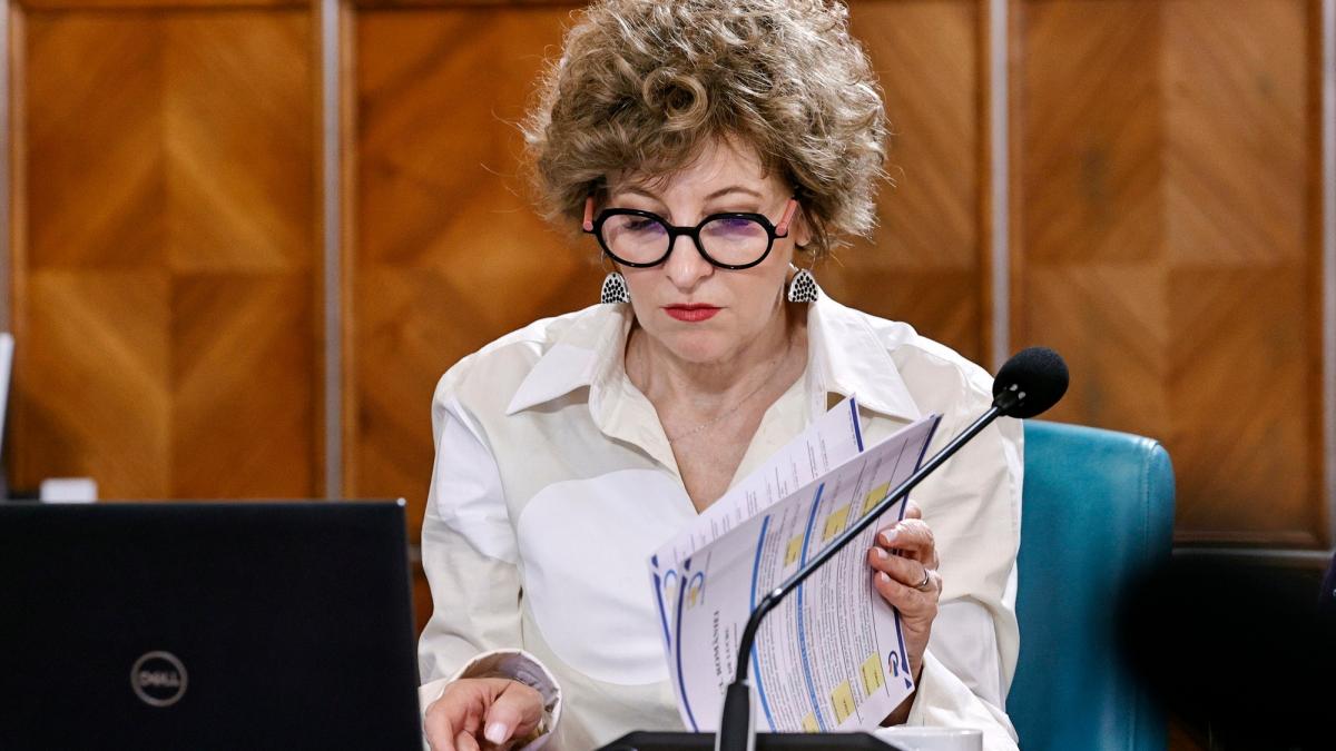 Liderul Sindicatului Funcionarilor Publici solicta Parchetului sa se autosesizeze in cazul Oanei