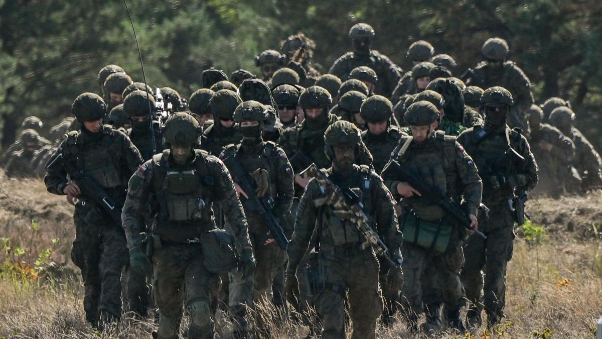 Nicusan Dan Retragerea celor 5000 de soldati americani din Germania nu este o supriza Europa poate