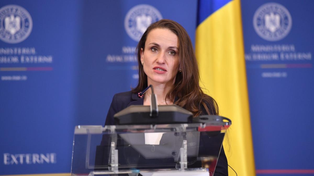 Oana Toiu Proprietatile MAE au fost evaluate la nearly 4 miliarde de lei